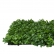 Painel Verde Buchinho Jardin Vertical 40x60 Artificial