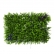 Painel Verde Eucalipto Jardin Vertical 40x60 Artificial
