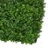 Painel Verde Buchinho Jardin Vertical 40x60 Artificial