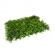 Painel Verde Eucalipto Jardin Vertical 40x60 Artificial