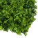 Painel Verde Silvestre Jardin Vertical 40x60 Artificial