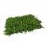 Painel Verde Silvestre Jardin Vertical 40x60 Artificial