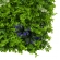 Painel Verde Eucalipto Jardin Vertical 40x60 Artificial