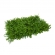 Painel Verde Samambaia Jardin Vertical 40x60 Artificial