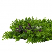 Painel Verde Eucalipto Jardin Vertical 40x60 Artificial