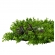 Painel Verde Eucalipto Jardin Vertical 40x60 Artificial